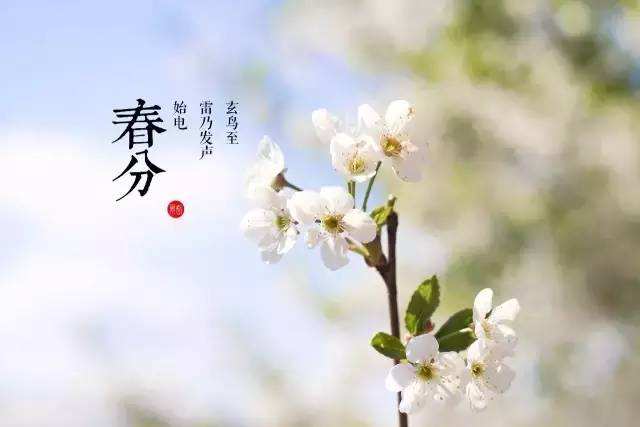 春風十里，不及我在桃園等你
